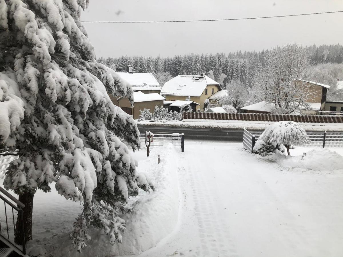 Ferienwohnung Zur Geigenbachtalsperre Poppengrun ภายนอก รูปภาพ